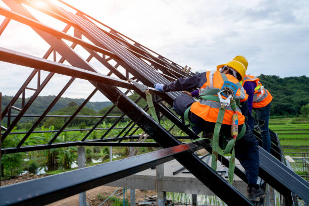 Best Roof Gutter Cleaning  in Eureka, CA